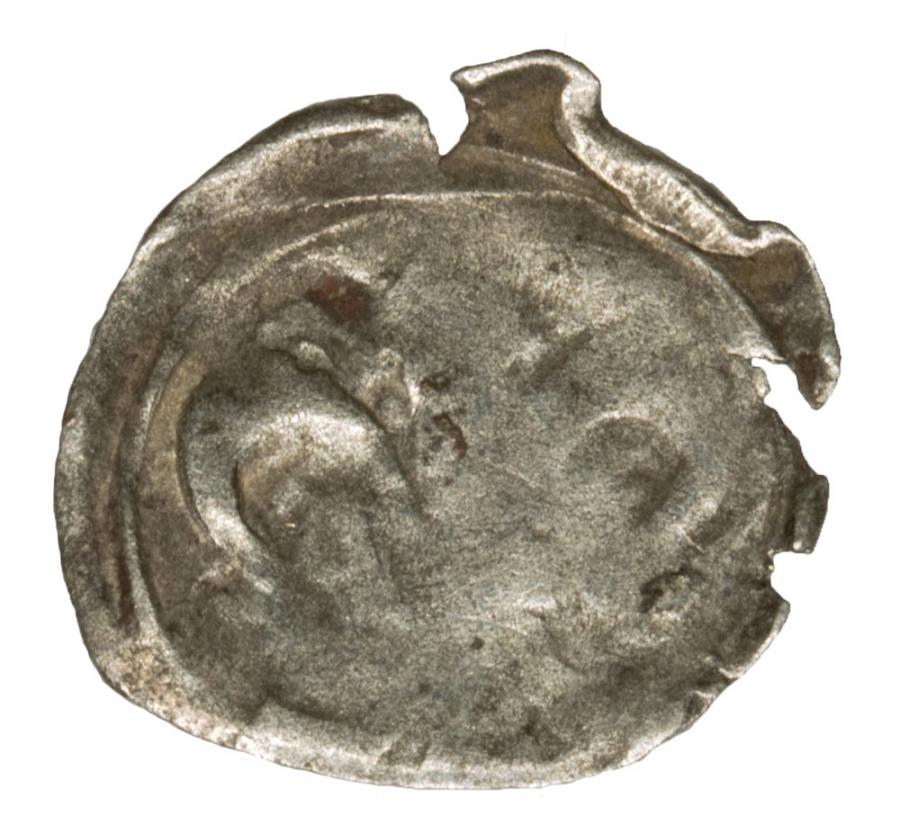 Denarius Lily Griffin Dymin Poméranie occidentale