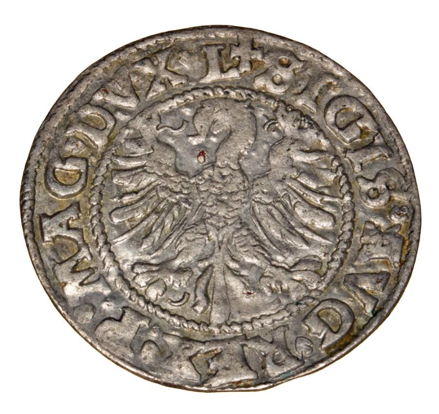 Demi-grosz 1546 Sigismond II Auguste Lituanie Vilnius