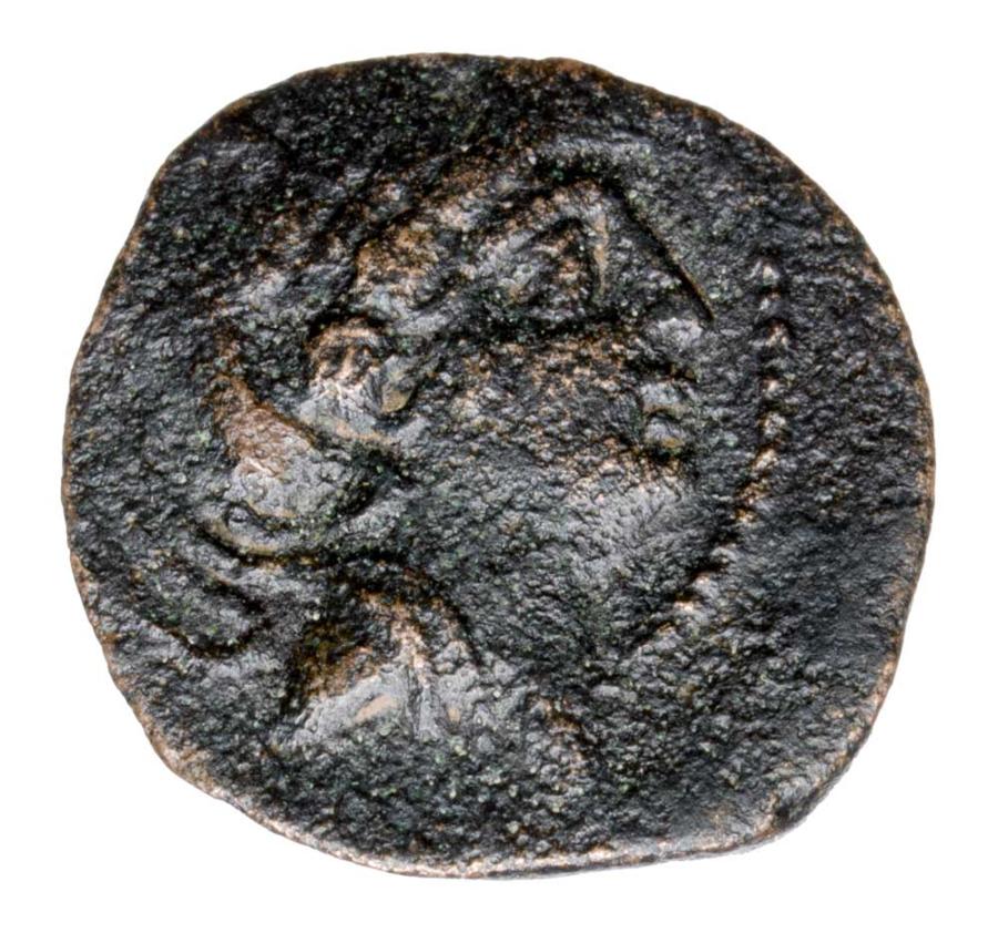 Bronze 121-96 av. J.-C. Antiochus VIII Grypos Grèce Séleucide