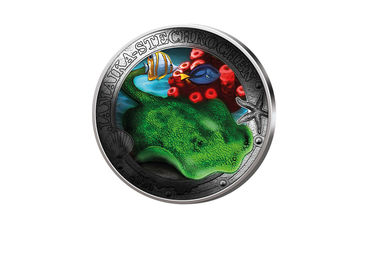 3 Euro 2024 Autriche Jamaïque - Stingray