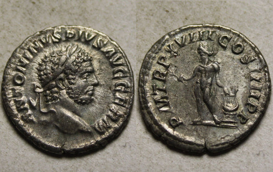 Les monnaies romaines antiques : l'empire à portée de main