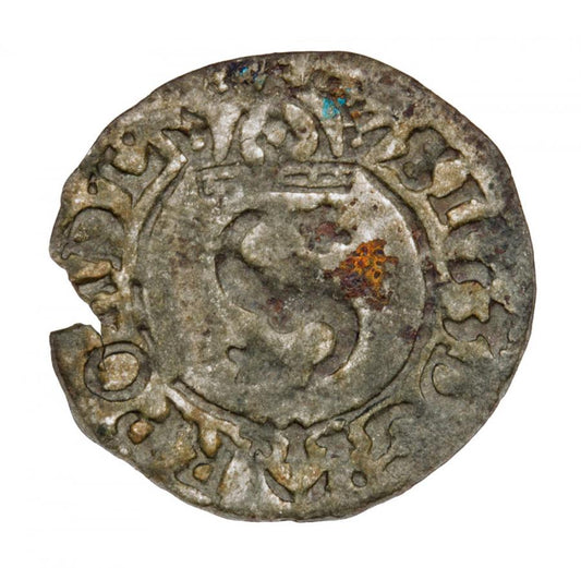 Szeląg 1624 Sigismond III Vasa Pologne Bydgoszcz
