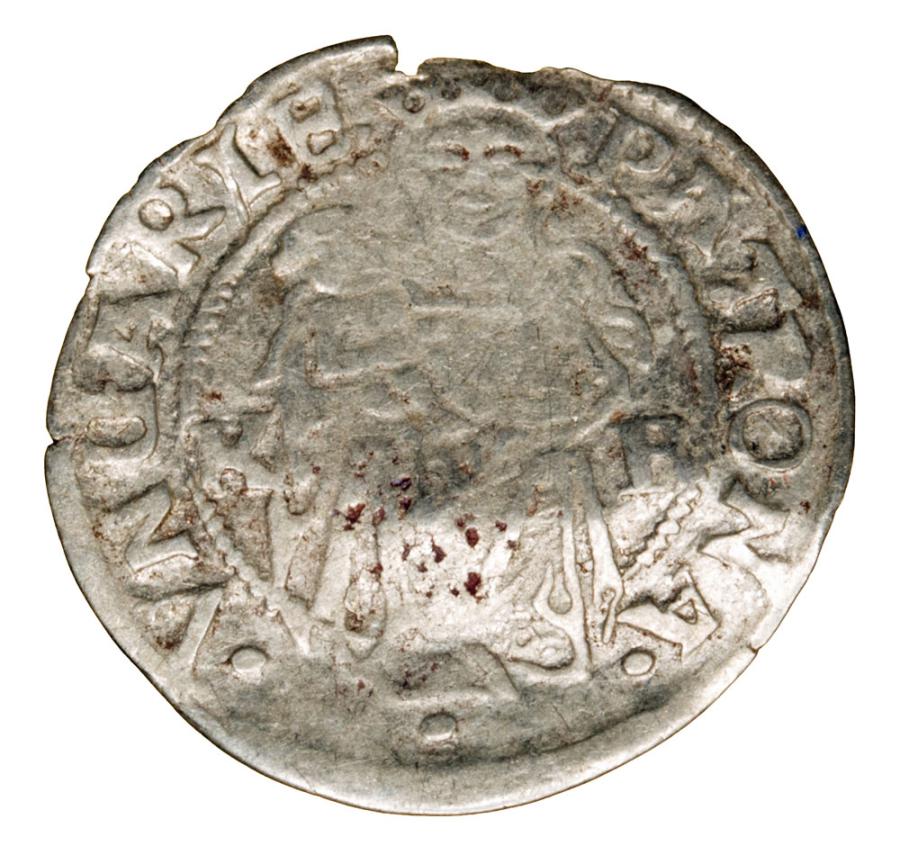 Denier 1534 Ferdinand Ier de Habsbourg Hongrie Kremnica