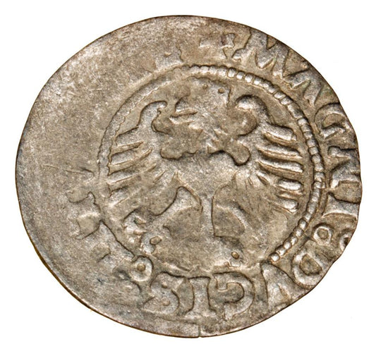 Demi-grosz 1526 Sigismond Ier de l'Ancienne Lituanie Vilnius