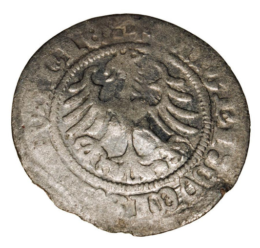 Demi-grosz 1519 Sigismond Ier de la Vieille Lituanie Vilnius