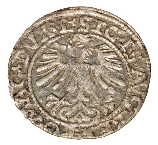 Demi-grosz 1562 Sigismond II Auguste Lituanie Vilnius