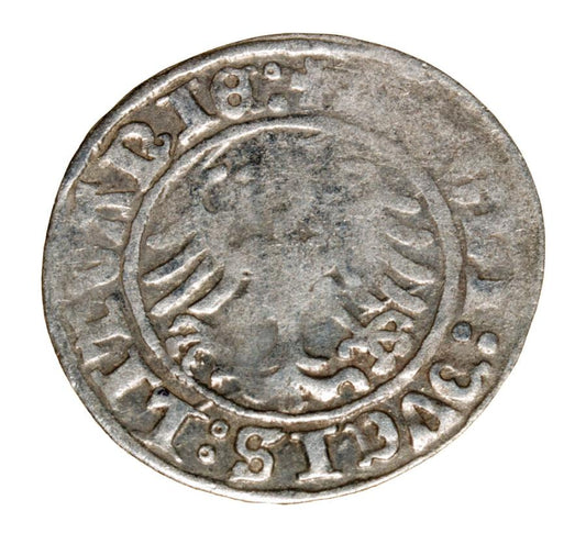 Demi-grosz 1509 Sigismond Ier de la Vieille Lituanie Vilnius
